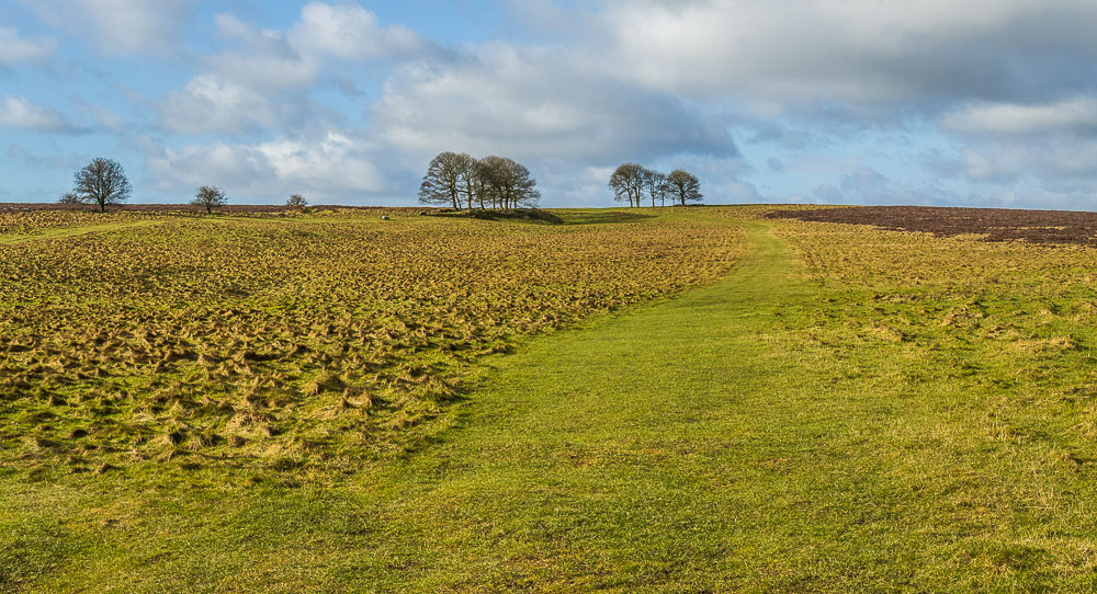 Longstone Moor Longstone Moor